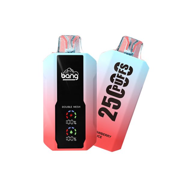 bang 25000-1 bang vape 25000 Puffs 25k E-cigaretta-10PCS/1 doboz