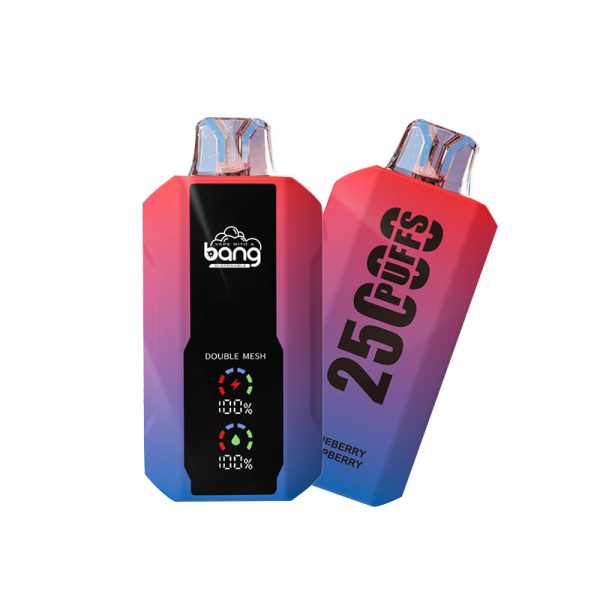 bang 25000-10 bang vape 25000 Puffs 25k E-cigaretta-10PCS/1 doboz
