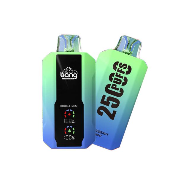 bang 25000-5 bang vape 25000 Puffs 25k E-cigaretta-10PCS/1 doboz