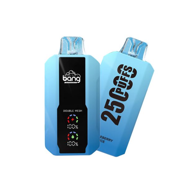 bang 25000-6 bang vape 25000 Puffs 25k E-cigaretta-10PCS/1 doboz
