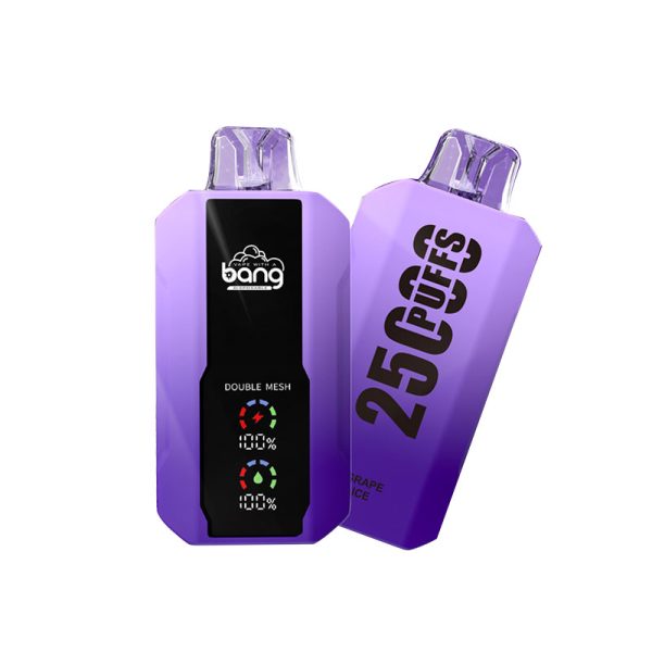 bang 25000-9 bang vape 25000 Puffs 25k E-cigaretta-10PCS/1 doboz