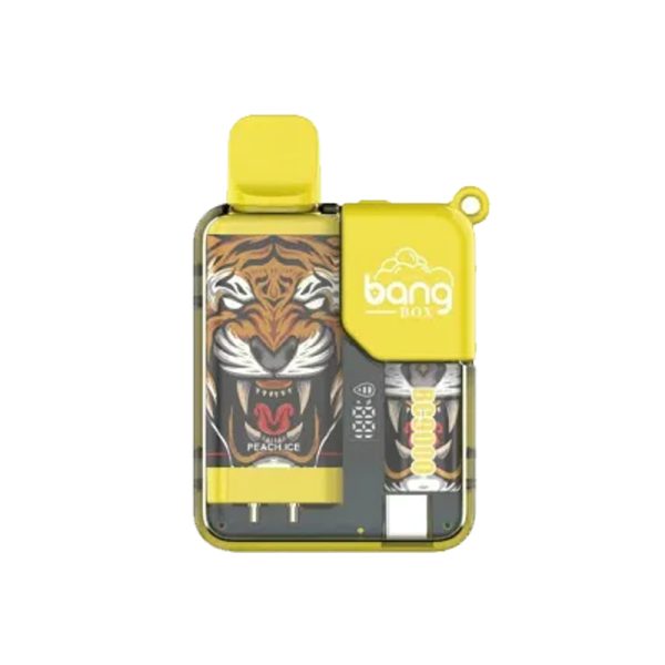 bang 9000-6 bang vape BC 9000 puff 9k E-cigaretta-10PCS/1 doboz