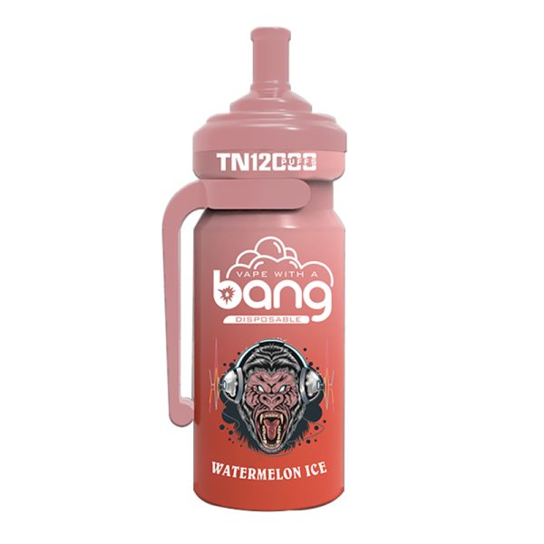 NT 12000-7 Vape Bang NT 12000 puff 12K E-cigaretta-10PCS/1 doboz