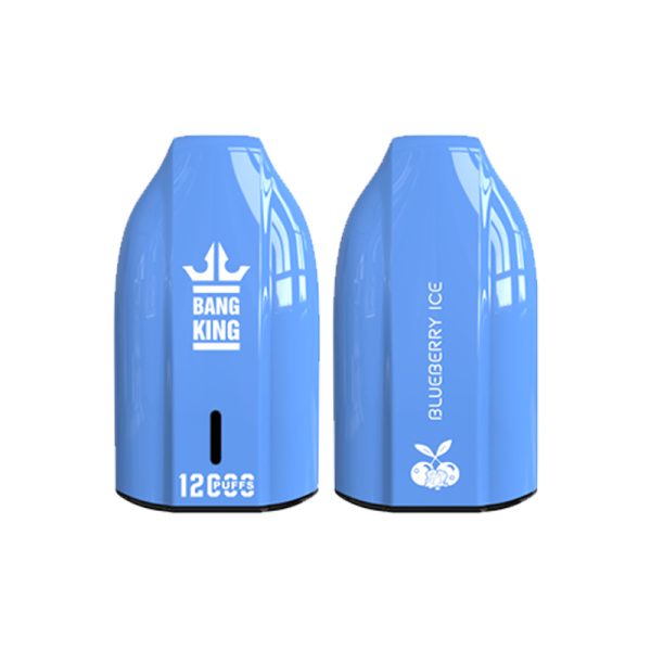 bang king 12000 puff Bang King 12000 | Bang King Vape 12000 felfedezése