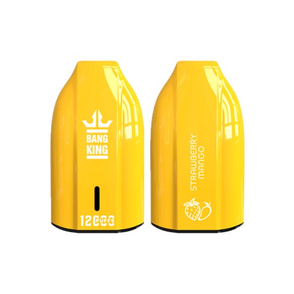 bang king 12000 puff Bang King 12000 | Bang King Vape 12000 felfedezése