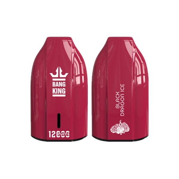 bang king 12000 puff Bang King 12000 | Bang King Vape 12000 felfedezése