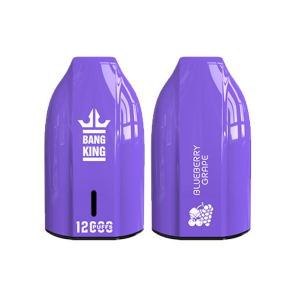 bang king 12000 puff Bang King 12000 | Bang King Vape 12000 felfedezése