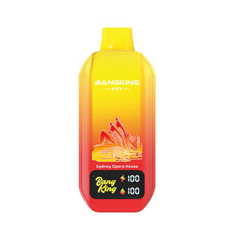bang king 50k szabadságszobor-9 vape bang king 50k E-cigaretta-10PCS/1 doboz